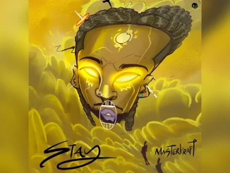 Masterkraft Stay Music Cover