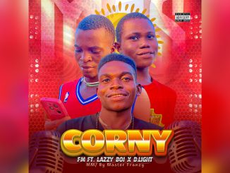 FM Corny FT Lazzy Boi x D. Light Music Cover