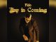 Fido Joy Is Coming Music Cover