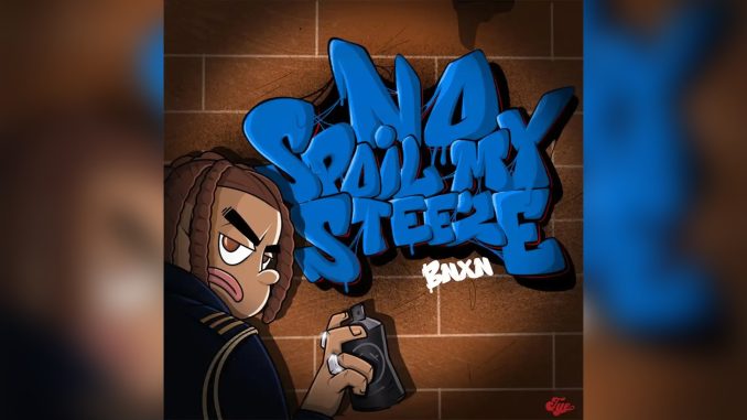 BNXN No Spoil My Steeze music cover