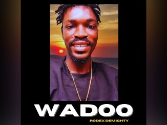 Rodex Demighty Wadoo Music Cover