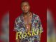 Roske Stop The Killing Ft. Friskid Music Cover