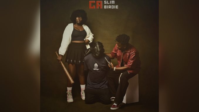 Slim Birdie Ga Music Cover Slim Birdie Ga Music Cover