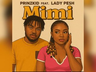 Prinzkid Mimi Ft. Lady Pesh Music Cover