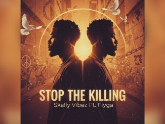 Skally Vibez Stop The Killing Ft. Flyga Music Cover