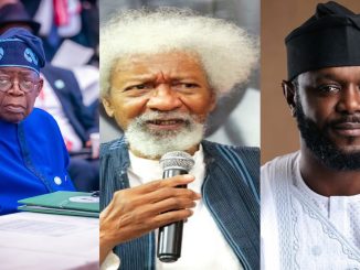 Soyinka Urges President Tinubu to Reassess Security Detail for Son, Seyi Tinubu