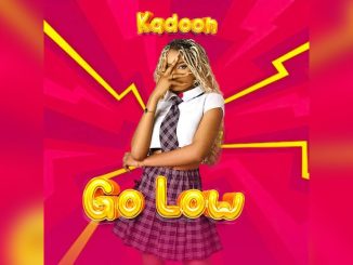 Kadoon Go Low music cover