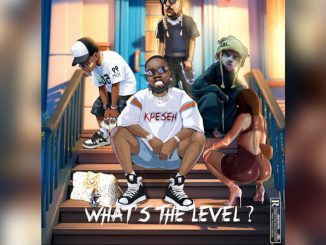 Kpeseh What’s The Level