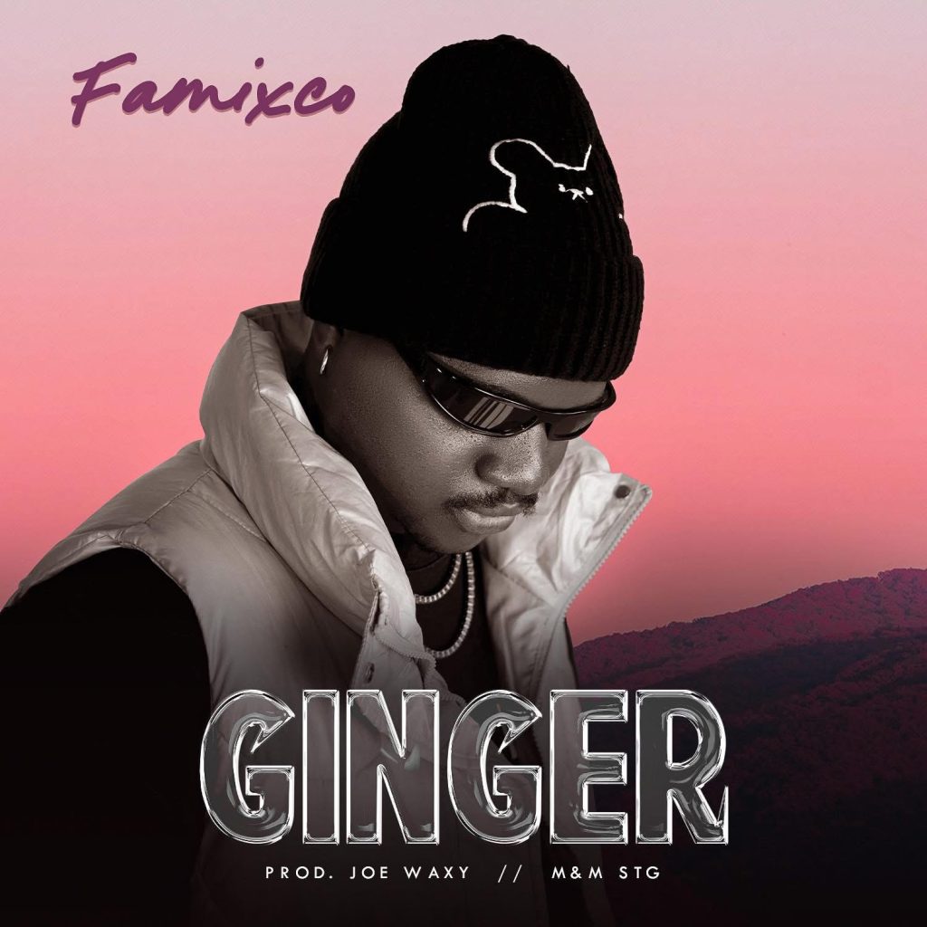 Famixco Ginger