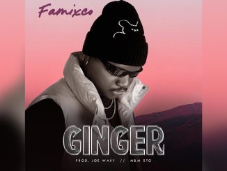 Famixco Ginger Music Cover