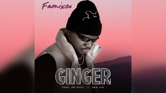 Famixco Ginger Music Cover